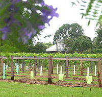 Douglas Vale Historic Homestead  Vineyard - Accommodation Cairns