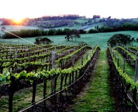 Philip Shaw Wines - Accommodation Cairns 1