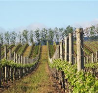 Philip Shaw Wines - Accommodation Cairns