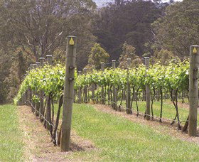 Diamond Creek Estate Cellar Door - Accommodation Cairns 2