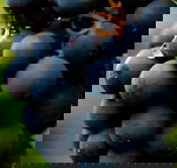 Swinging Bridge Estate - Accommodation Cairns