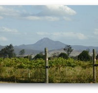 Ironbark Ridge Vineyard - Accommodation Cairns