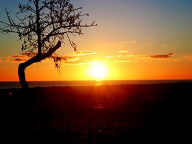 Rocky Ridge Vineyard And Cellar Door - Accommodation Cairns 0