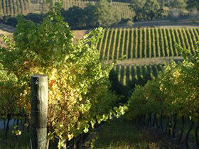Pike And Joyce Wines - Accommodation Cairns 0