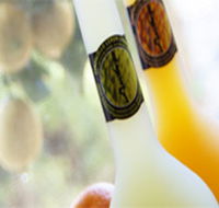 Ambra Limoncello - Accommodation Cairns
