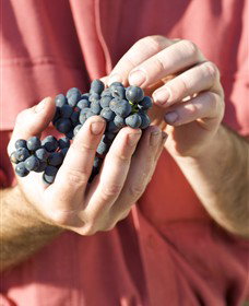 Modewarre VIC Accommodation Cairns