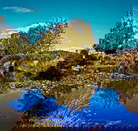 Loira Vines - Accommodation Cairns