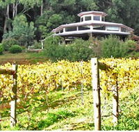 Peveril Vineyard/Beechy Berries - Accommodation Cairns