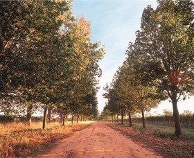 Water Wheel Vineyards - Accommodation Cairns 1