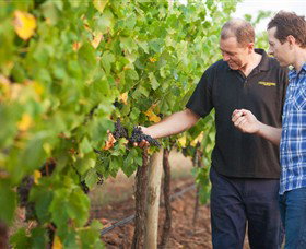 Fratin Brothers Vineyard - Accommodation Cairns 0