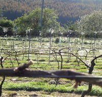 Three Willows Vineyard - Accommodation Cairns