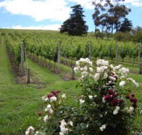 Pembroke Estate Vineyard - Accommodation Cairns