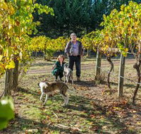 Little River Wines of Taggerty