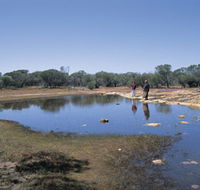 Camel Soak - Accommodation Cairns