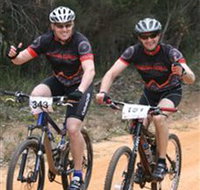 Trailhead Bike Co. - Accommodation Cairns