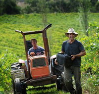 Kellybrook Winery Kelly Brothers Cider  Riders Brew Co. - Accommodation Cairns