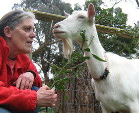 Karmic Goat Soapworks - Accommodation Cairns 2