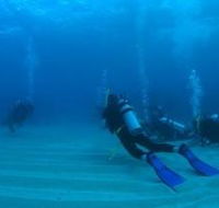 Man and Wife Rocks Dive Site - Accommodation Cairns