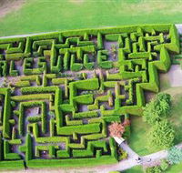 Hedgend Maze and Healesville Laser Sport - Accommodation Cairns