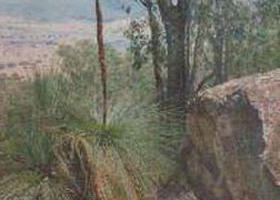 Burrowye VIC Accommodation Cairns