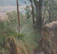 Mount Lawson State Park - Accommodation Cairns