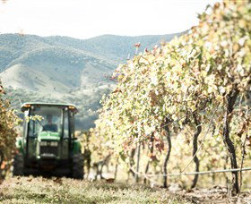 Logan Wines - Accommodation Cairns 5