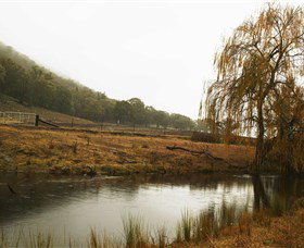 Logan Wines - Accommodation Cairns 6