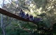 Abercrombie Caves - thumb 1