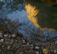 Abercrombie Karst Conservation Reserve - Accommodation Cairns