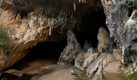 Abercrombie Karst Conservation Reserve - Accommodation Cairns 2