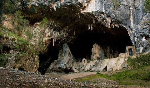 Abercrombie Karst Conservation Reserve - Accommodation Cairns 3