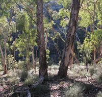 Mount Gray walking track - Accommodation Cairns