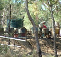 7 Oaks Sapphire Fossicking - Accommodation Cairns