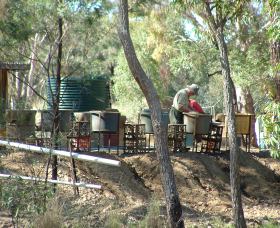 7 Oaks Sapphire Fossicking - Accommodation Cairns 0
