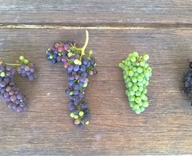 Dromana Estate - Accommodation Cairns 1