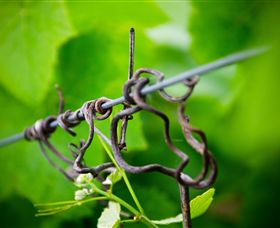 Dromana Estate - Accommodation Cairns 4