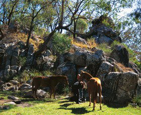  Accommodation Cairns