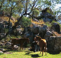 Coomba Falls - Accommodation Cairns