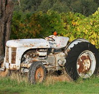 Ten Minutes By Tractor - Accommodation Cairns