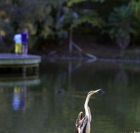 Birdwatching in the South Burnett - Accommodation Cairns