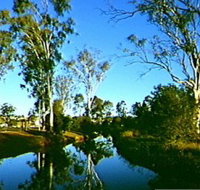 Dingo Creek Park - Accommodation Cairns
