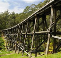 Noojee Trestle Bridge - Accommodation Cairns