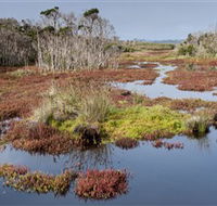 French Island National Park - Accommodation Cairns