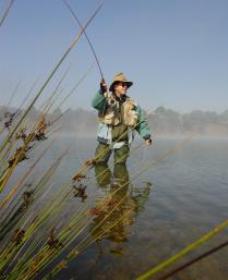 Lake Wallace - Accommodation Cairns 0