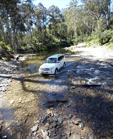 Aberfeldy Four Wheel Drive Track - Accommodation Cairns 0