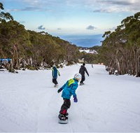 Mt Baw Baw Alpine Resort - Accommodation Cairns