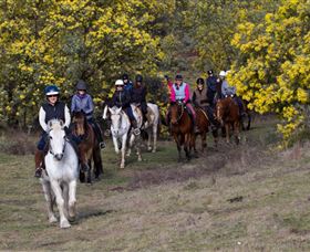 Burnelee Excursions On Horseback - Accommodation Cairns 0
