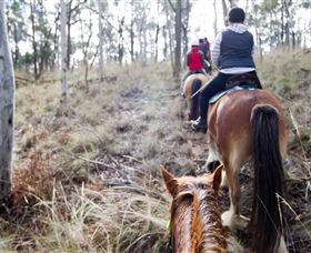 Burnelee Excursions On Horseback - Accommodation Cairns 1