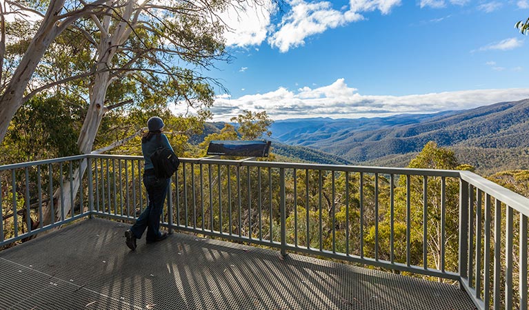 Bolaro NSW Accommodation Cairns