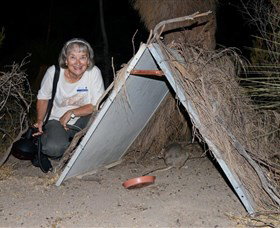 Barna Mia Native Animal Sanctuary - Accommodation Cairns 3